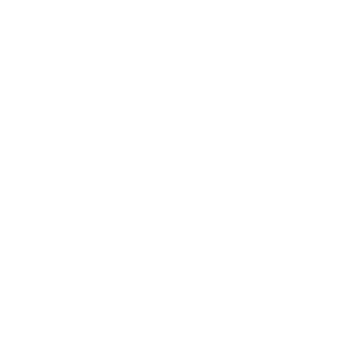 Mayan Holding